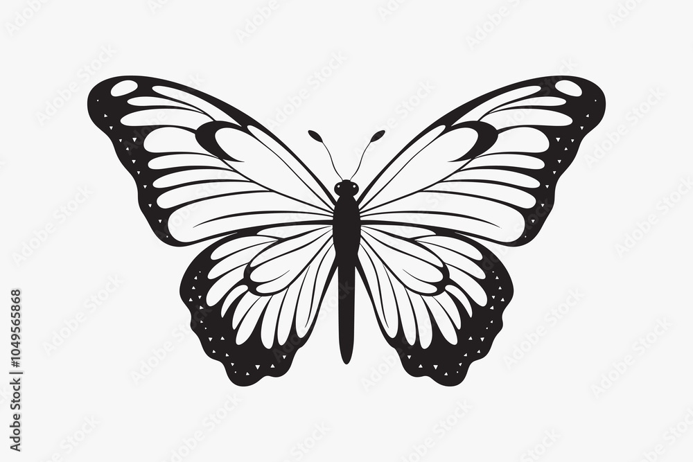 Fototapeta premium Elegant black and white butterfly