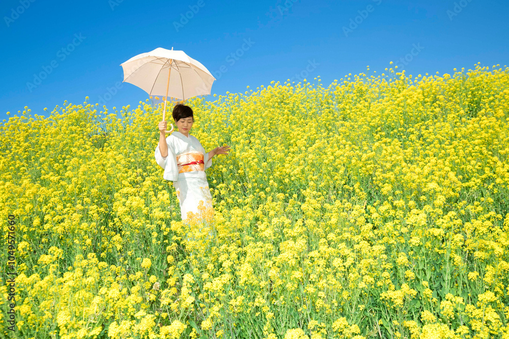 custom made wallpaper toronto digitalA Japanese woman wearing kimono enjoys the spring season in beautiful yellow flowers, or nanohana, blooming in Japan.
