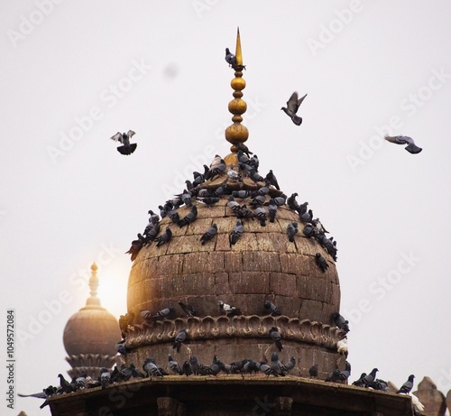 Birds flying over brown dome building photo