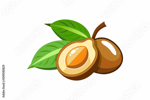  Delicious fruit sapodilla vector art illustration