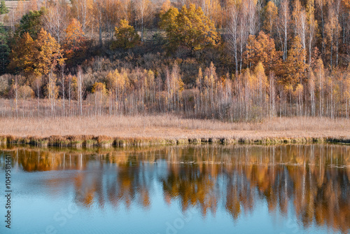 Golden autumn on the shore of Gorodishchenskoye lake. Izborsk. Pskov region, Russia photo