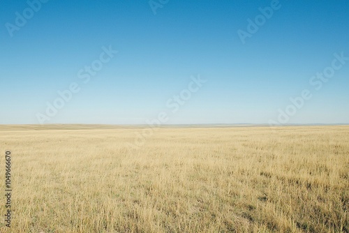 Vast golden fields roll beneath an endless azure sky, capturing the essence of nature's tranquility.