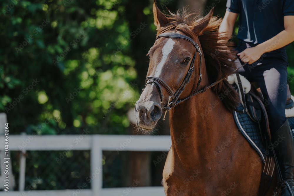 A dynamic scene of a person enjoying horseback riding through a lush, sunlit forest. The horse appears energetic and animated, capturing the thrill of equestrian sports and outdoor adventure. A dynamic scene of a person enjoying horseback riding through a lush, sunlit forest. The horse appears energetic and animated, capturing the thrill of equestrian sports and outdoor adventure.