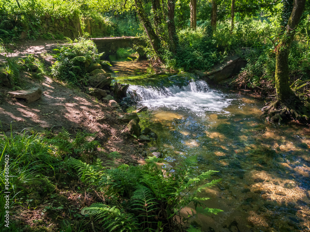 Stream in the Forest on the Portuguese Camino Stream in the Forest on the Portuguese Camino