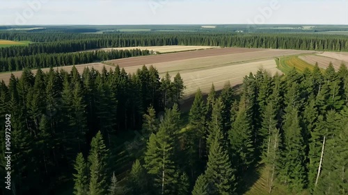 alarming reality deforestation aerial view landscape where oncevibrant pine forests now reduced agricultural fields captured bird'seye that highlights ecological challenges facing our photo