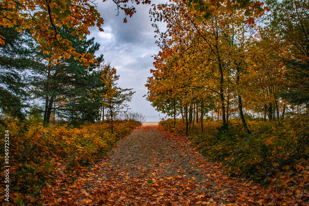 Colourful autumn morning on the shore of the Baltic Sea Colourful autumn morning on the shore of the Baltic Sea