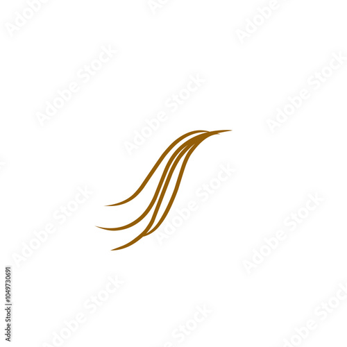 illustration of strands of hair