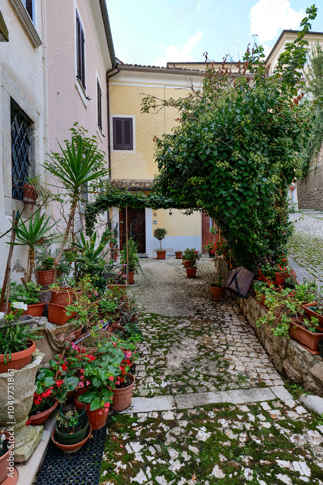 Naklejka premium A street between the old houses of Alvito in Lazio, Italy. 