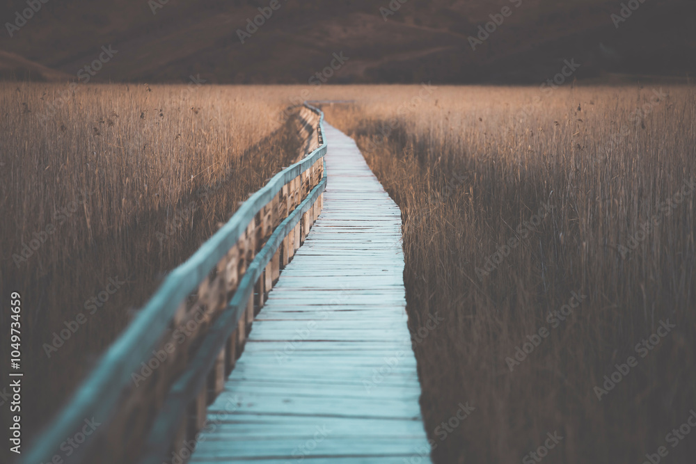 Obraz premium Old wooden boardwalk with a railing on the side and watchtower in the Sic reed reservation, Cluj , Romania