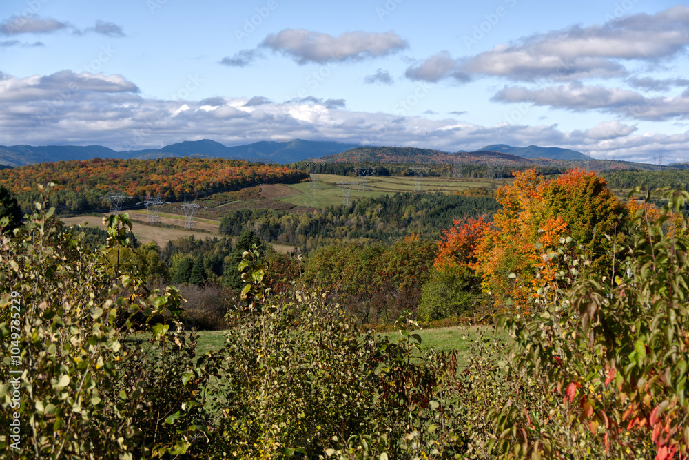 Saint-Tite-des-Caps View