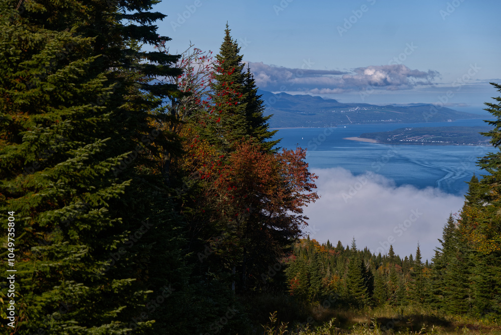 Le Massif Vista