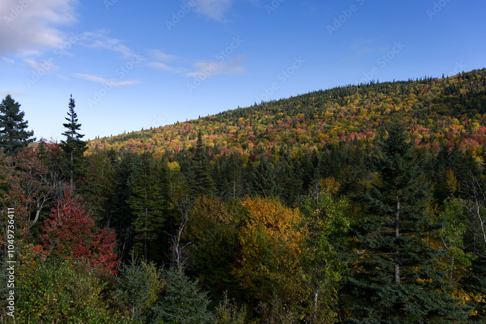 Le Massif Fall Countryside