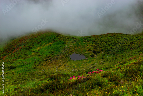 Die Nebelwand  photo