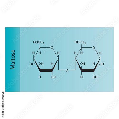 Maltose skeletal structure diagram.Disaccharide compound molecule scientific illustration.
