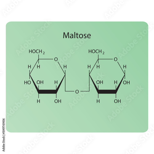 Maltose skeletal structure diagram.Disaccharide compound molecule scientific illustration.