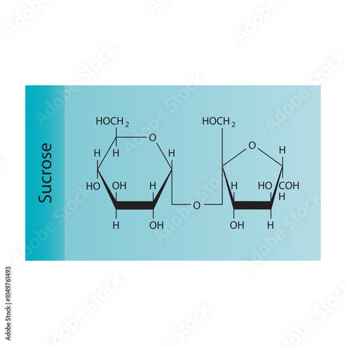 Sucrose skeletal structure diagram.Disaccharide compound molecule scientific illustration.