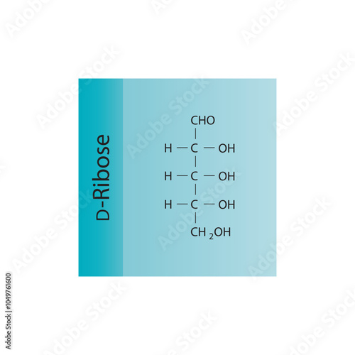 D-Ribose skeletal structure diagram.Sugar compound molecule scientific illustration.
