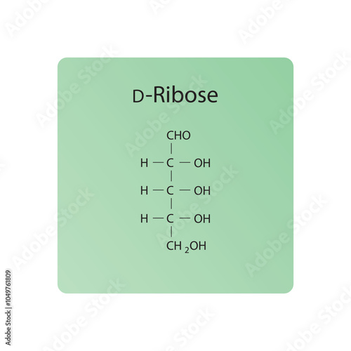 D-Ribose skeletal structure diagram.Sugar compound molecule scientific illustration.