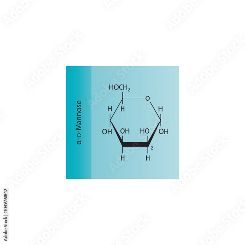 α-D-Mannose skeletal structure diagram.Sugar compound molecule scientific illustration.