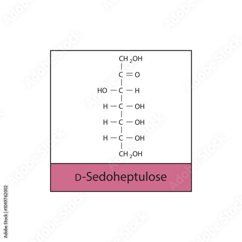 D-Sedoheptulose skeletal structure diagram.Ketose compound molecule scientific illustration.