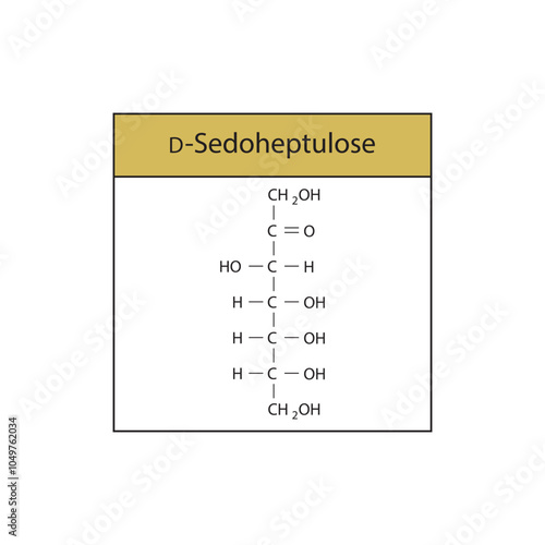 D-Sedoheptulose skeletal structure diagram.Ketose compound molecule scientific illustration.