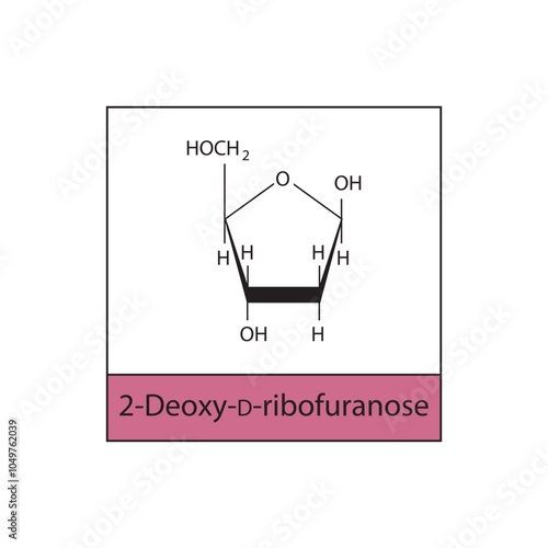 2-Deoxy-D-ribofuranose skeletal structure diagram.Sugar compound molecule scientific illustration.