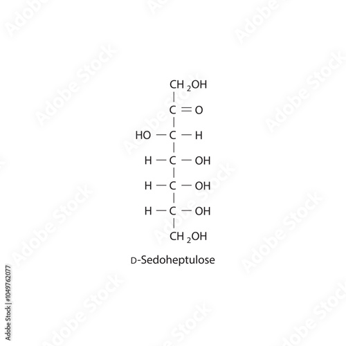 D-Sedoheptulose skeletal structure diagram.Ketose compound molecule scientific illustration.