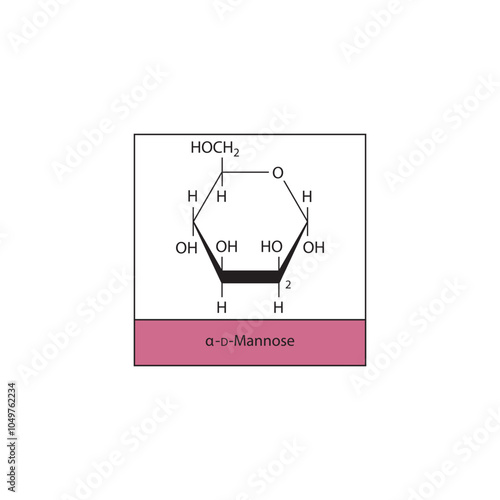 α-D-Mannose skeletal structure diagram.Sugar compound molecule scientific illustration.