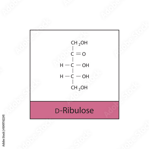 D-Ribulose skeletal structure diagram.Ketose compound molecule scientific illustration.