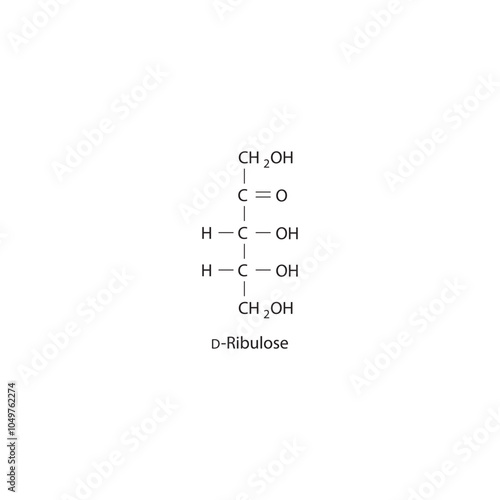 D-Ribulose skeletal structure diagram.Ketose compound molecule scientific illustration.