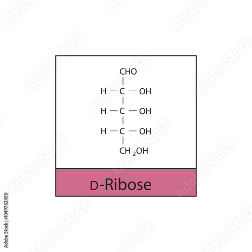 D-Ribose skeletal structure diagram.Sugar compound molecule scientific illustration.