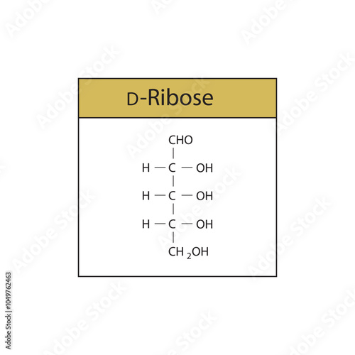 D-Ribose skeletal structure diagram.Sugar compound molecule scientific illustration.