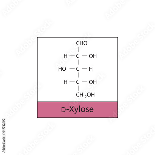 D-Xylose skeletal structure diagram.Sugar compound molecule scientific illustration.