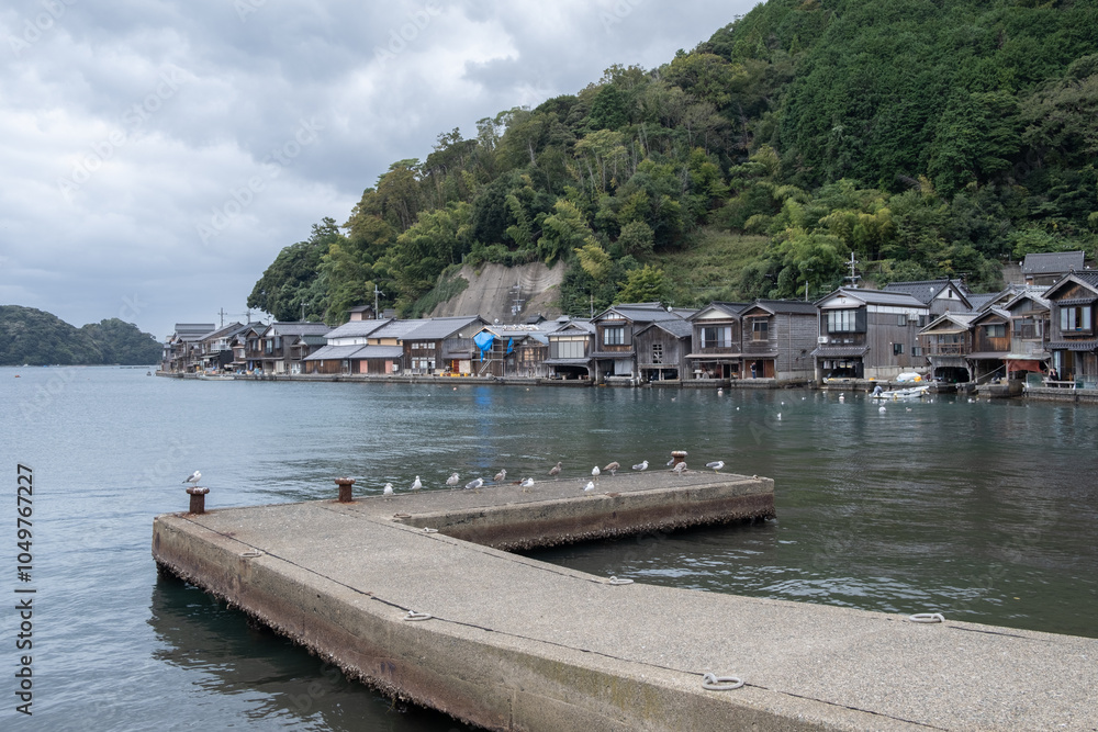 Ine Fishing Village, is famous for its unique funaya, or boat houses. These wooden buildings sit right on the water and serve as both dock and home for the fishermen