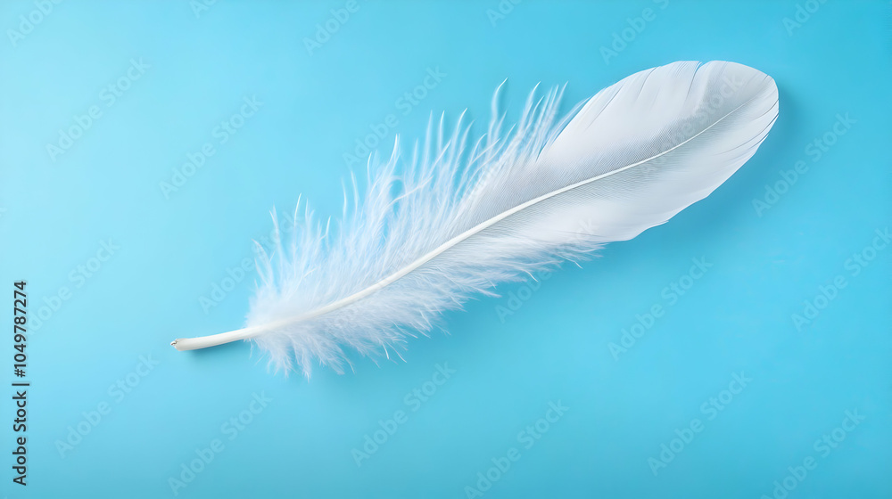 Obraz premium White Feather Floating on Blue Background