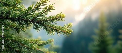 Close up of a cedar branch ...
