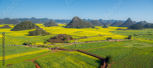 Never-ending canola blossoming fields around Luoping, Yunnan, China photo