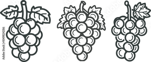 Three Grape Bunches Line Art Drawing Illustration Icon Logo Vector Vine Winemaking Vineyard Cabernet Sauvignon Merlot Pinot Noir Food Drink Agriculture Harvest Organic Fresh Fruit Produce Healthy