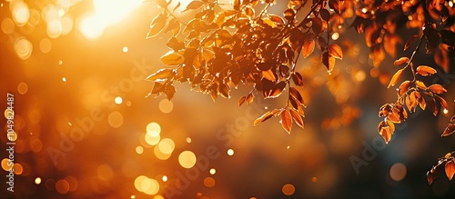 Orange bokeh background fro...