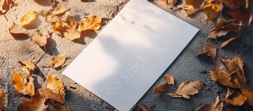 A4 white paper set on the c...