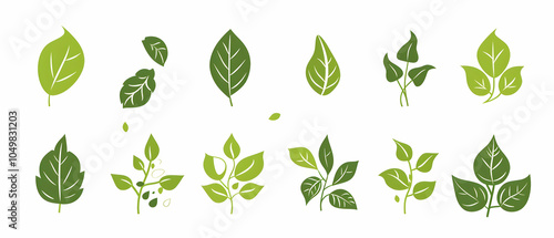 Set of simple vector icons for leaves, flat design, white background, green color, vector graphics,