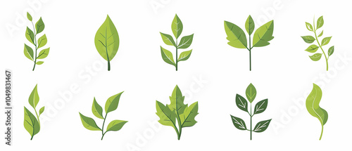 Set of simple vector icons for leaves, flat design, white background, green color, vector graphics,