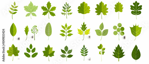 Set of simple vector green leaf icons, flat design, white background, simple shapes, 2D, PNG format, 30 different leaf icons. -