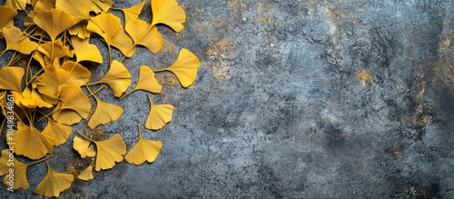 Golden yellow Ginkgo Biloba...