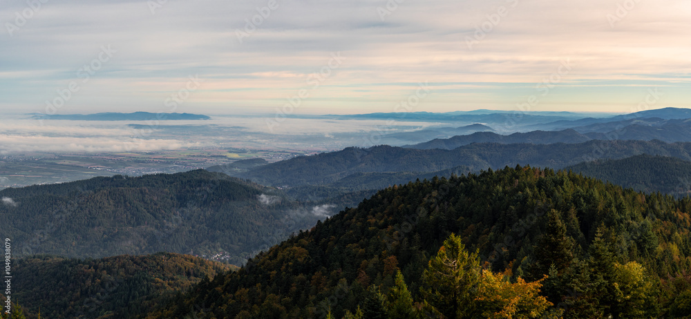 Obraz premium Herbst im Schwarzwald