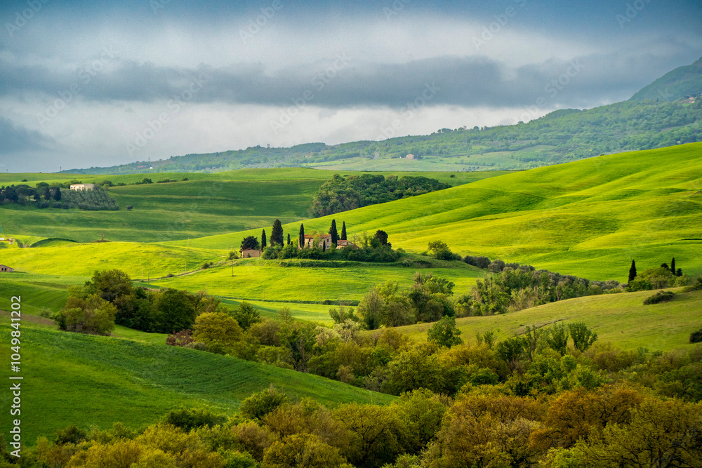 Obraz premium The Cypress trees with farmland in Tuscany Region,Italy