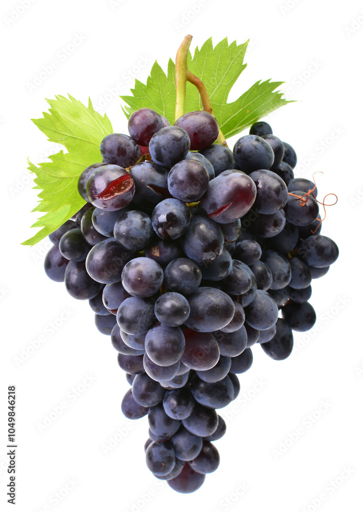 Fototapeta premium Bunch of grapes isolated on white