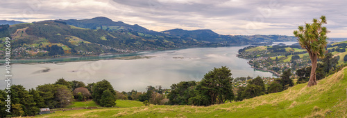 Otago Harbour Panorama