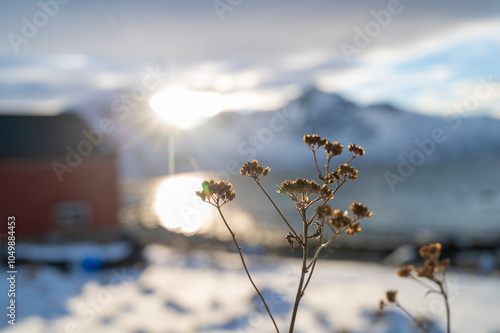 Sunset in Rekvik Tromsø photo