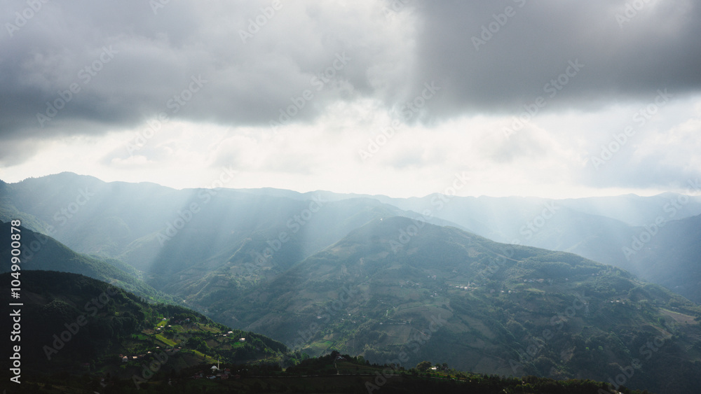 Naklejka premium Forested valley under cloudy sky, Erbaa, Tokat, Turkey